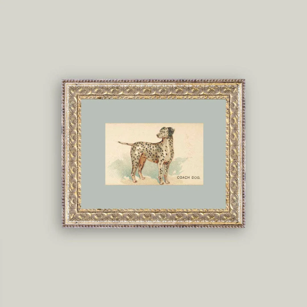 Dalmation Framed Antique Inspired Art