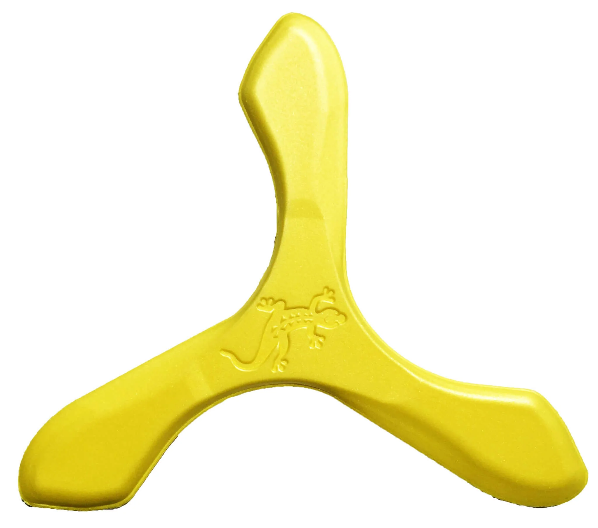 Iguana Boomerangs - Soft Foam Boomerangs for Young Teens!