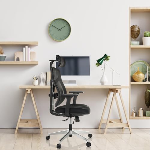 HJH Office sedia da ufficio ergonomica CASSILIS B sedia girevole in rete, schienale regolabile con supporto lombare, altezza fino a 220 cm, nero : Amazon.it: Casa e cucina