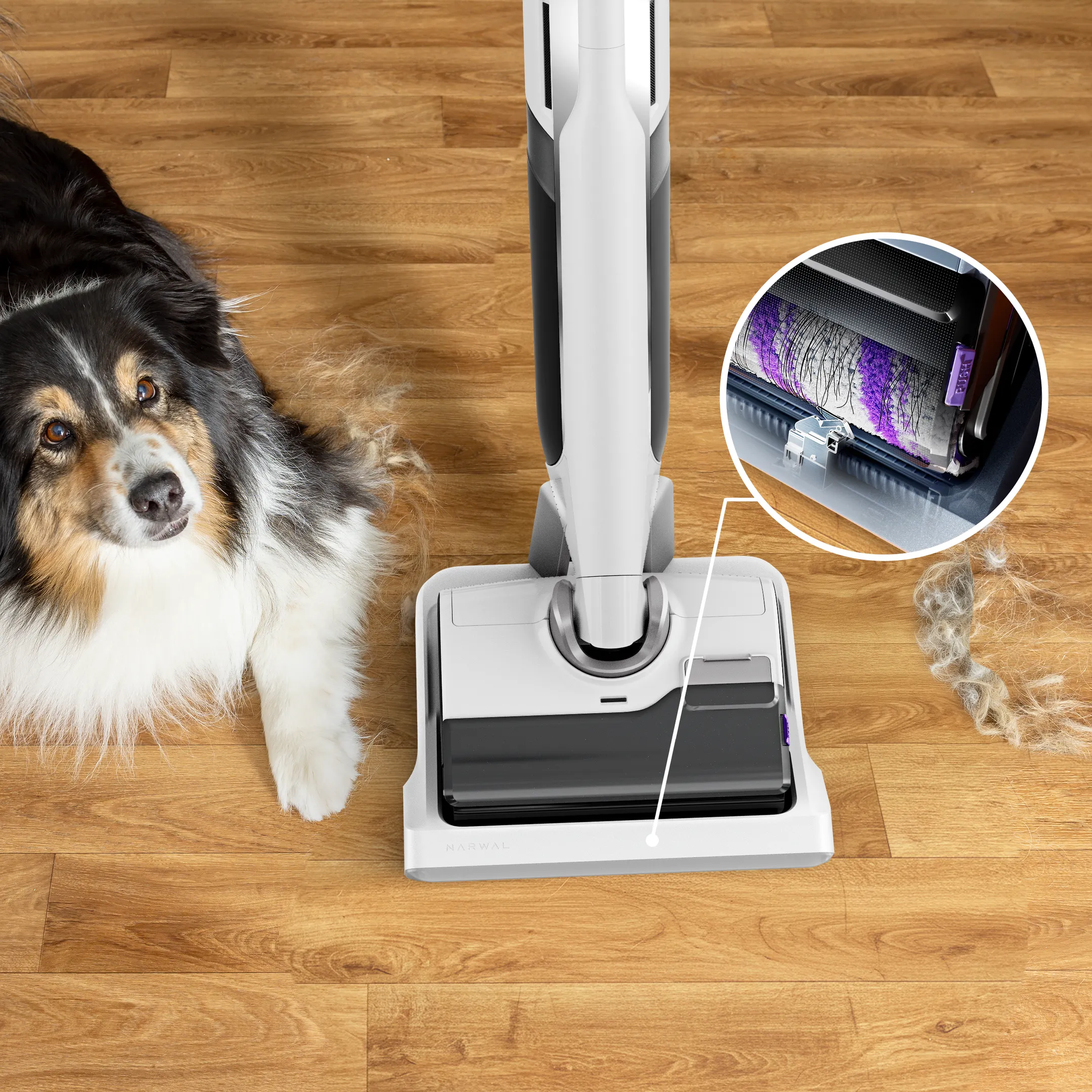 Rowenta Vloerreiniger X-Clean 12 GZ7257E0