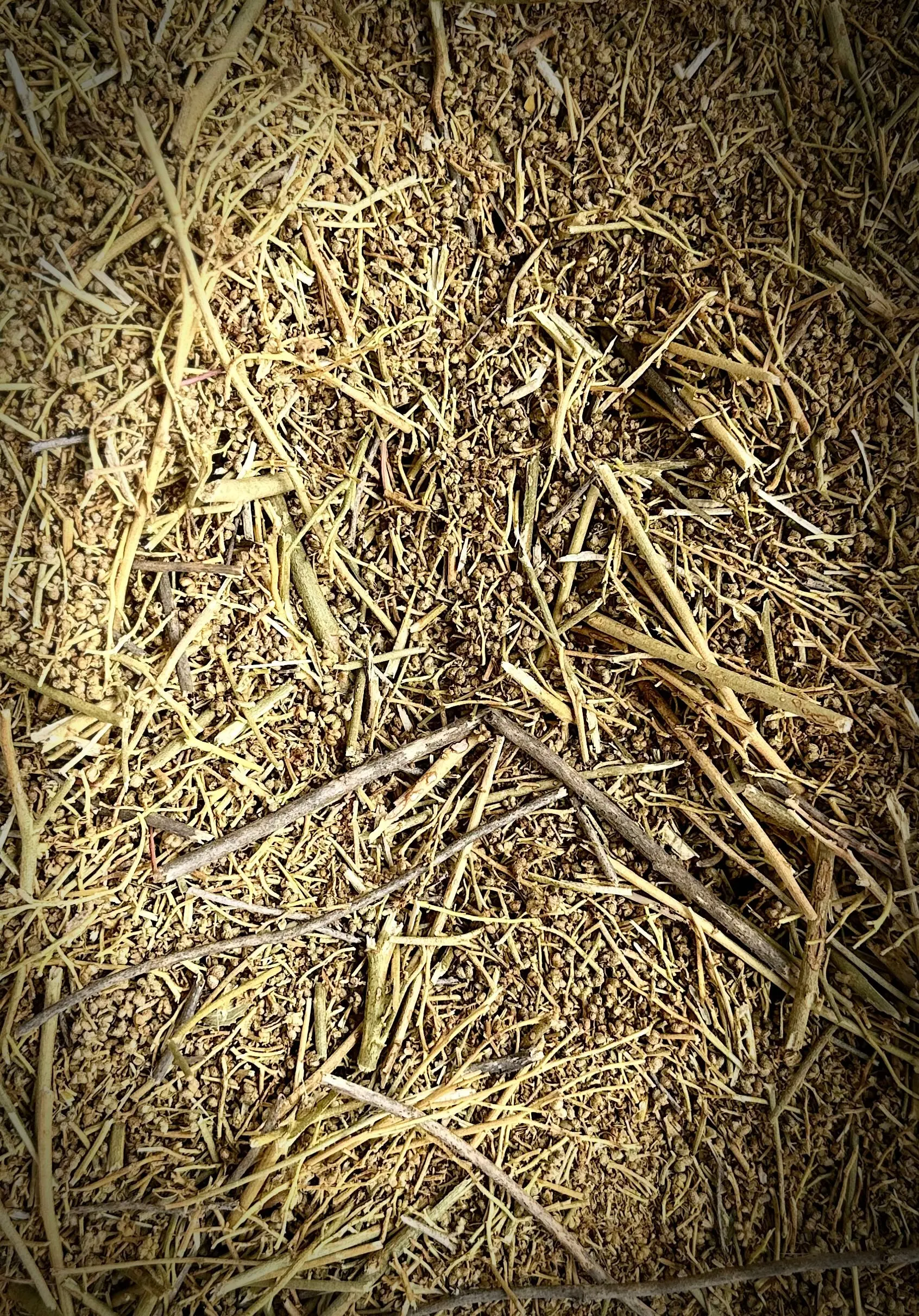 Fijel herbal tea incense - Ground rhue - ?????? - rue herb of grace figel roqya - purification protection negative entities demons bewitchments