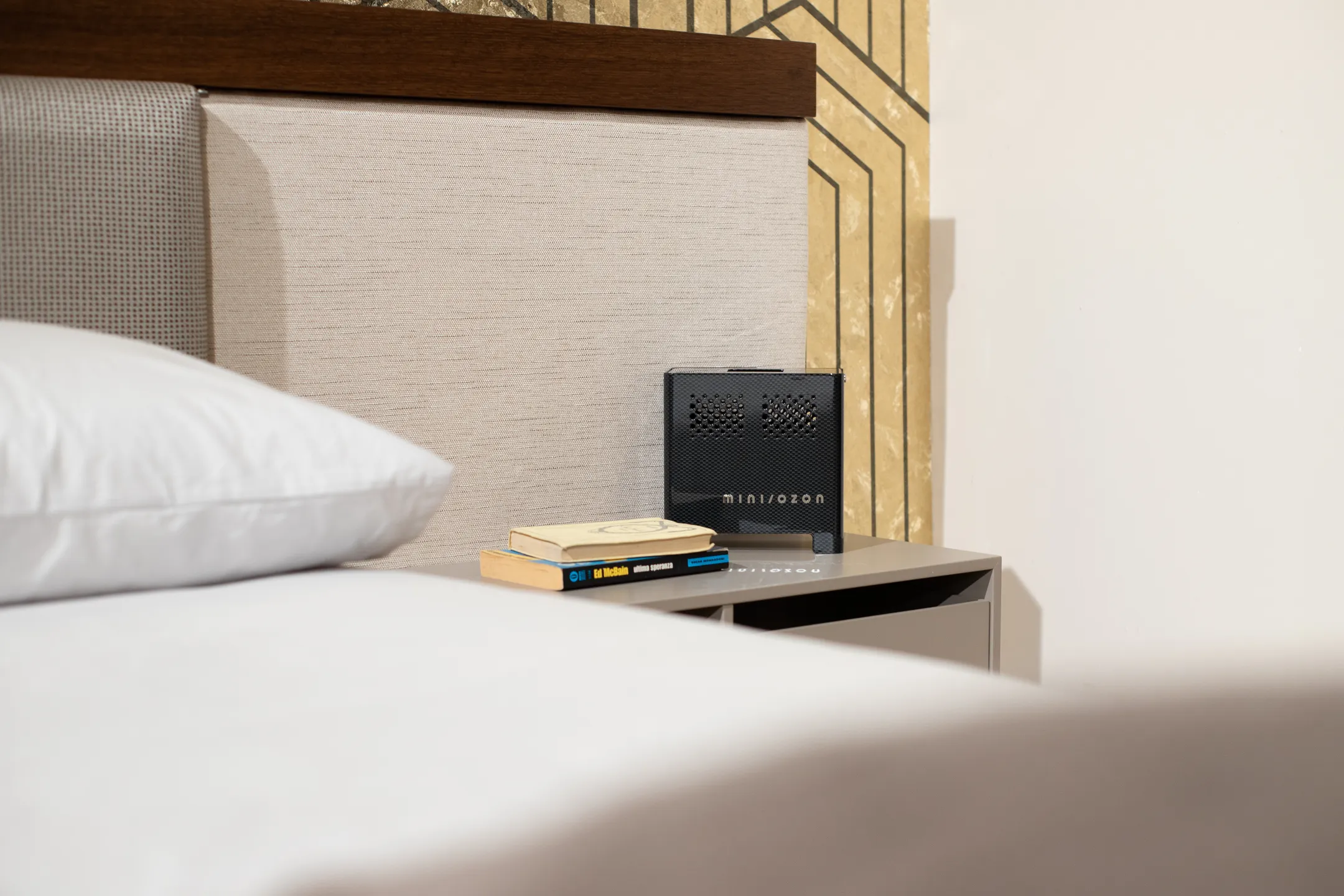 Mini Ozon Luchtreiniger - Carbon