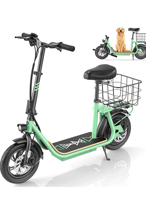 Caroma Z2 Electric Scooter