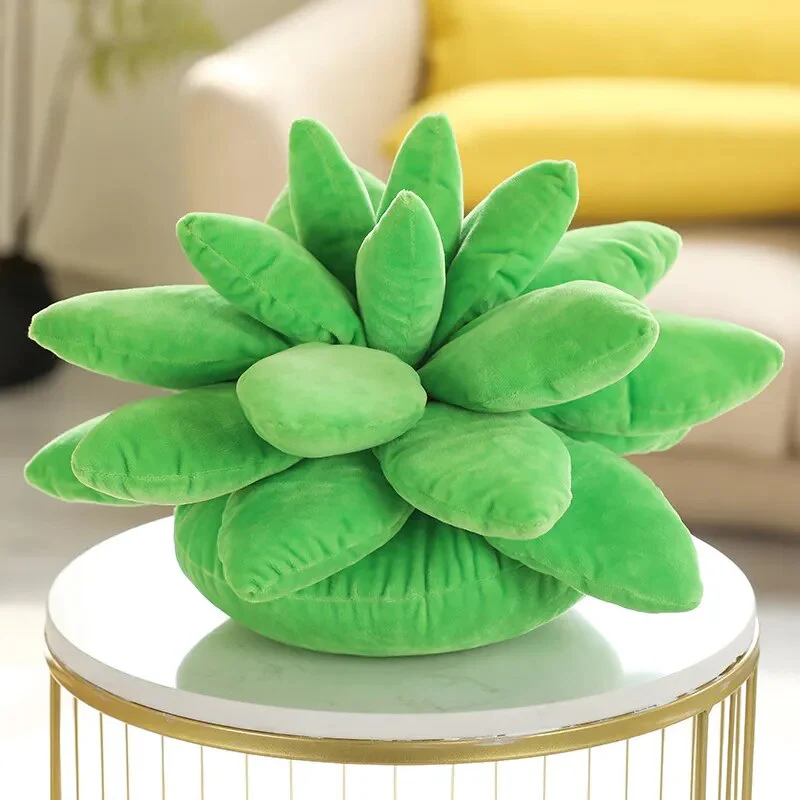 Succulent Dream | Knus met de pluchen perfectie van de natuur!
