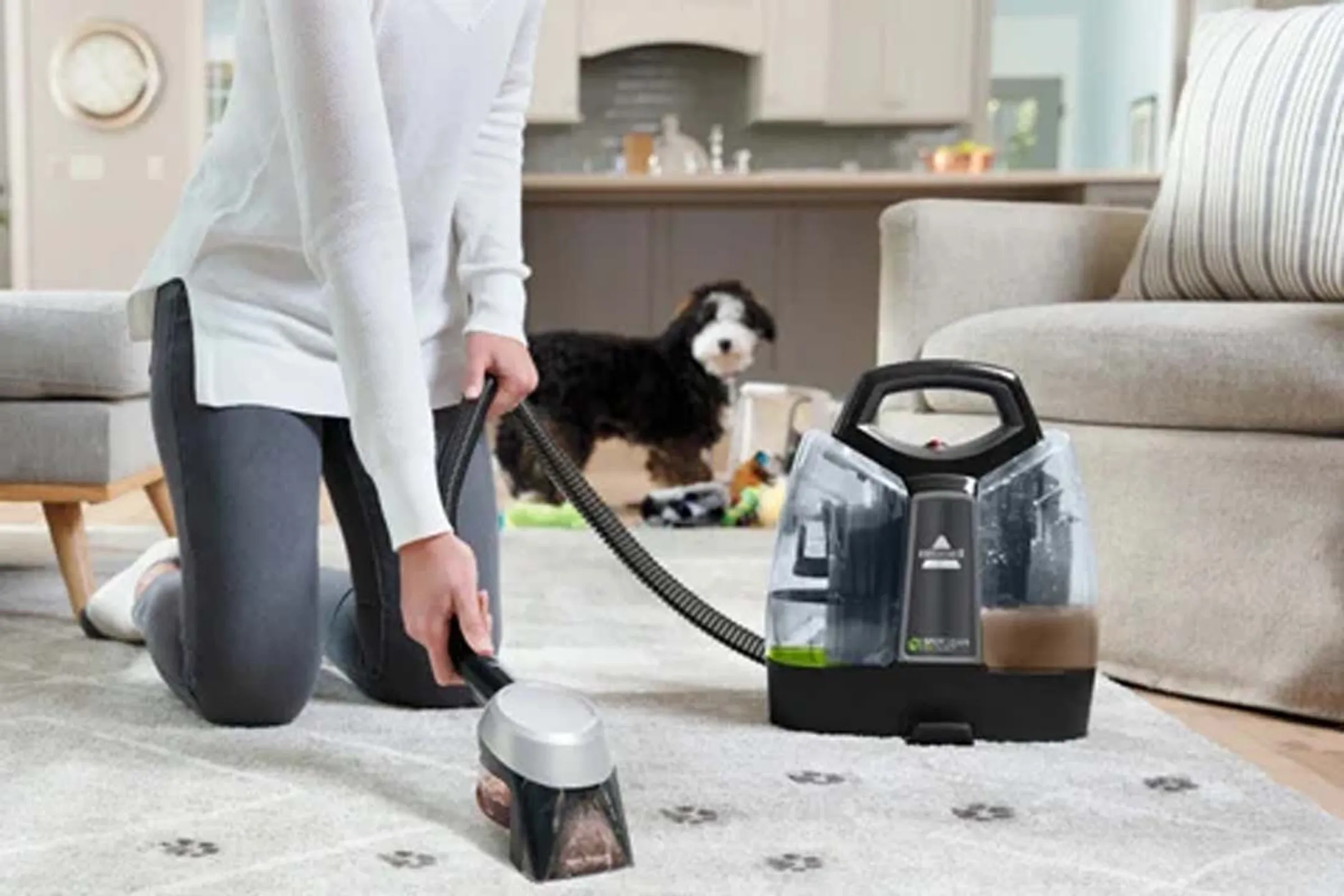 Bissell Tapijtreiniger Spotclean Pet Plus 37241