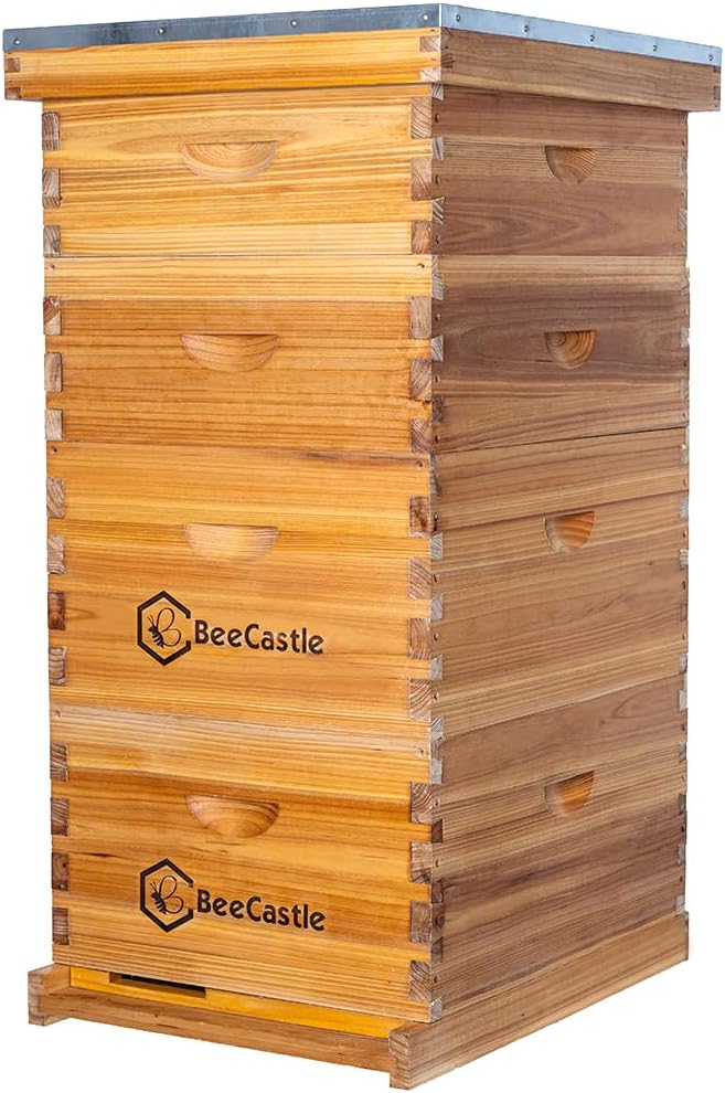 BeeCastle 10 keretes Langstroth méhkas 100% méhviasszal bevonva, méhkas keretekkel és viaszos műlépekkel (2 mély és 2 félszintes fiókkal)