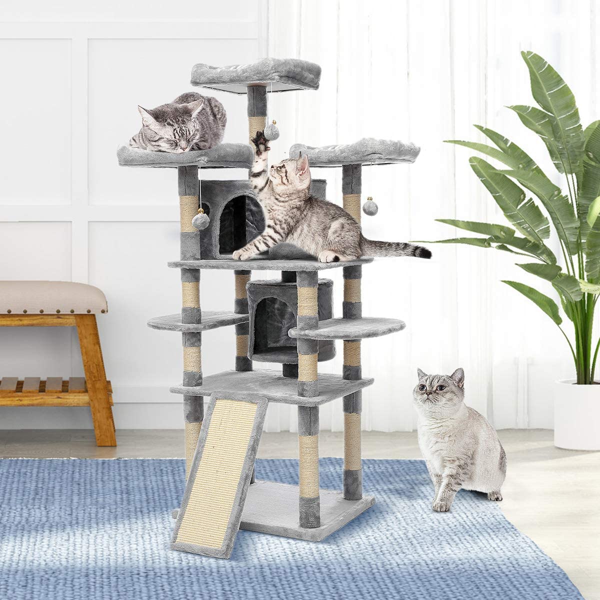 Kattenboom van 67 Inch met Condominiums, Trap en Krabpalen