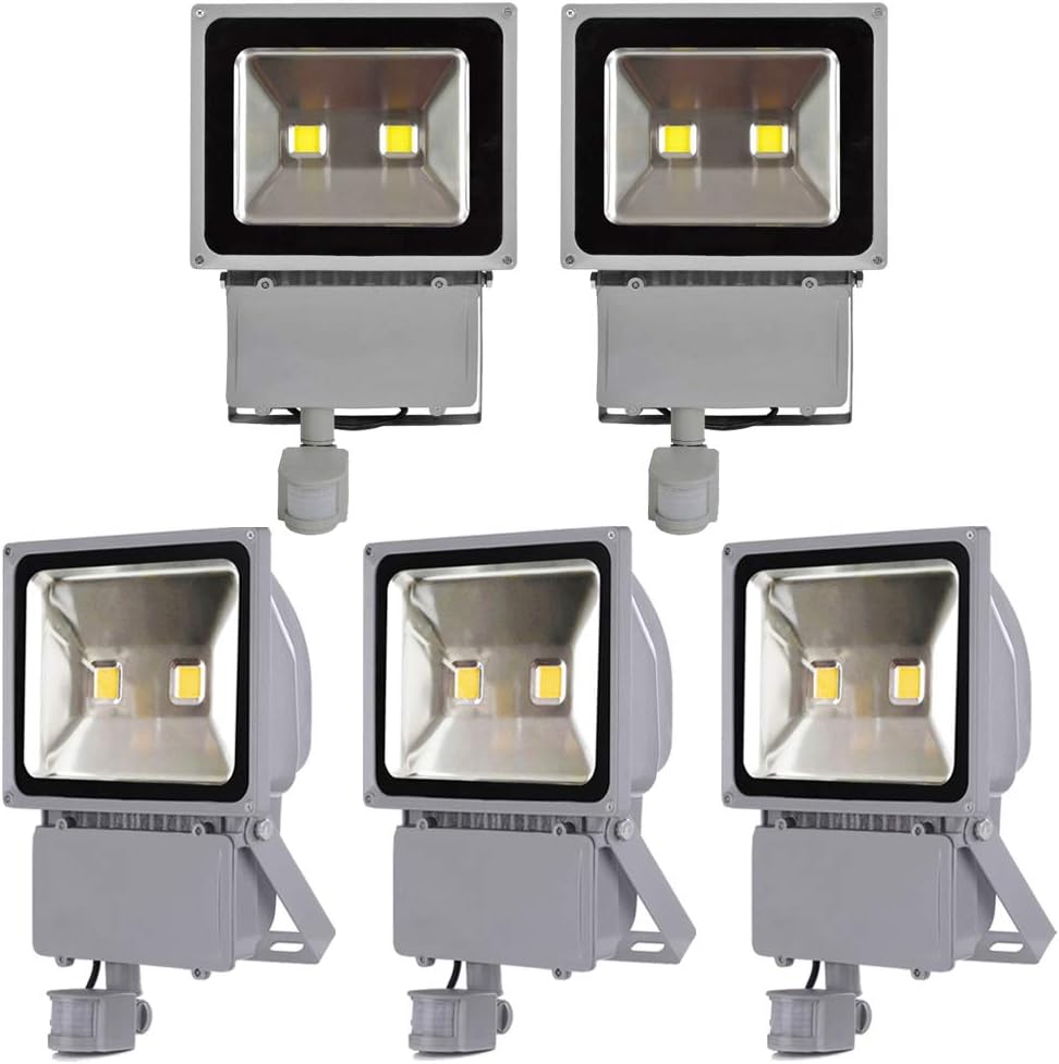 ALPHA DIMA 5X 100W LED Kaltweiß Fluter Flutlichtstrahler Outdoor Strahler Lampe Strahler Flutlicht Scheinwerfer mit Bewegungsmelder