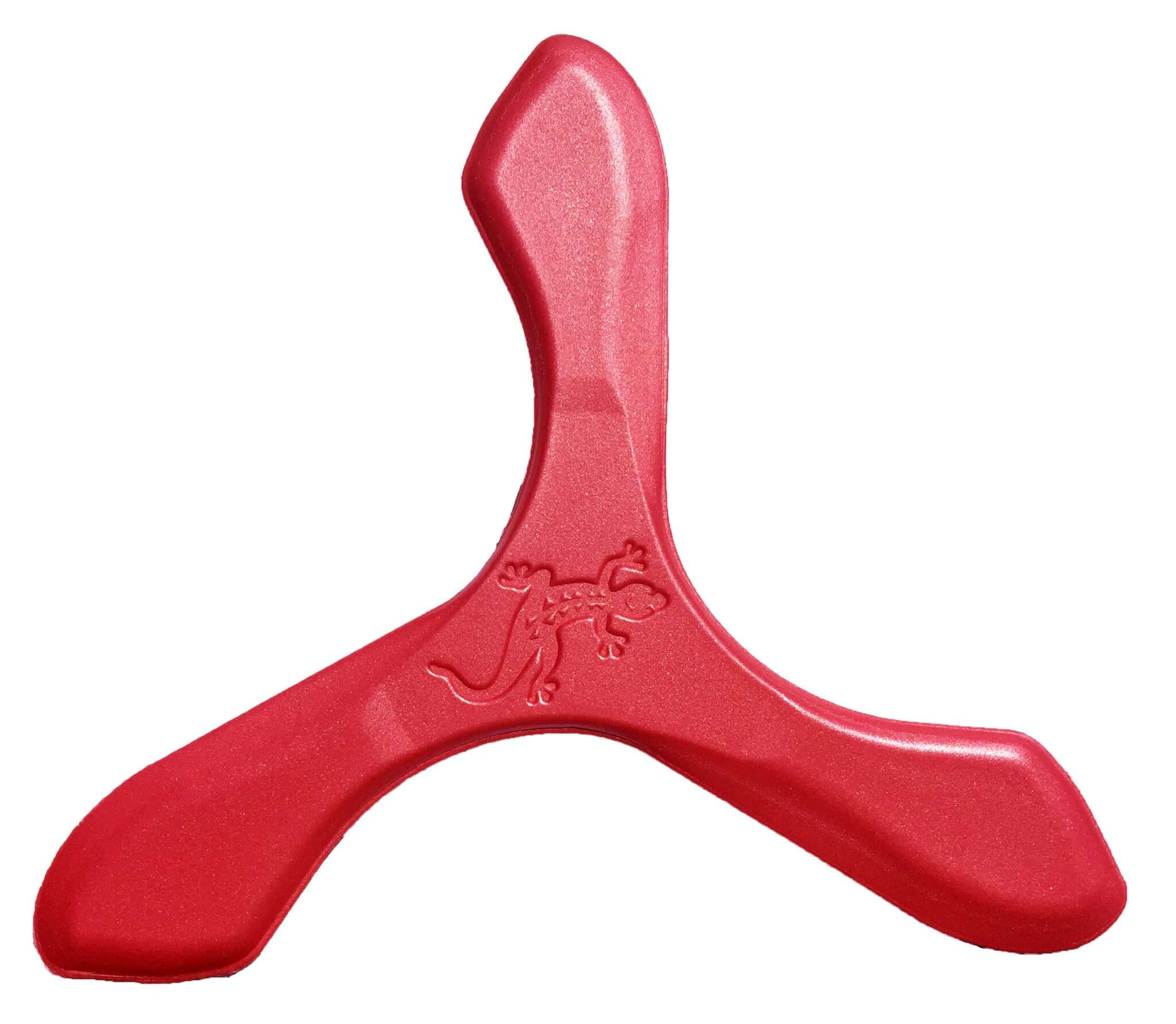 Iguana Boomerangs - Soft Foam Boomerangs for Young Teens!