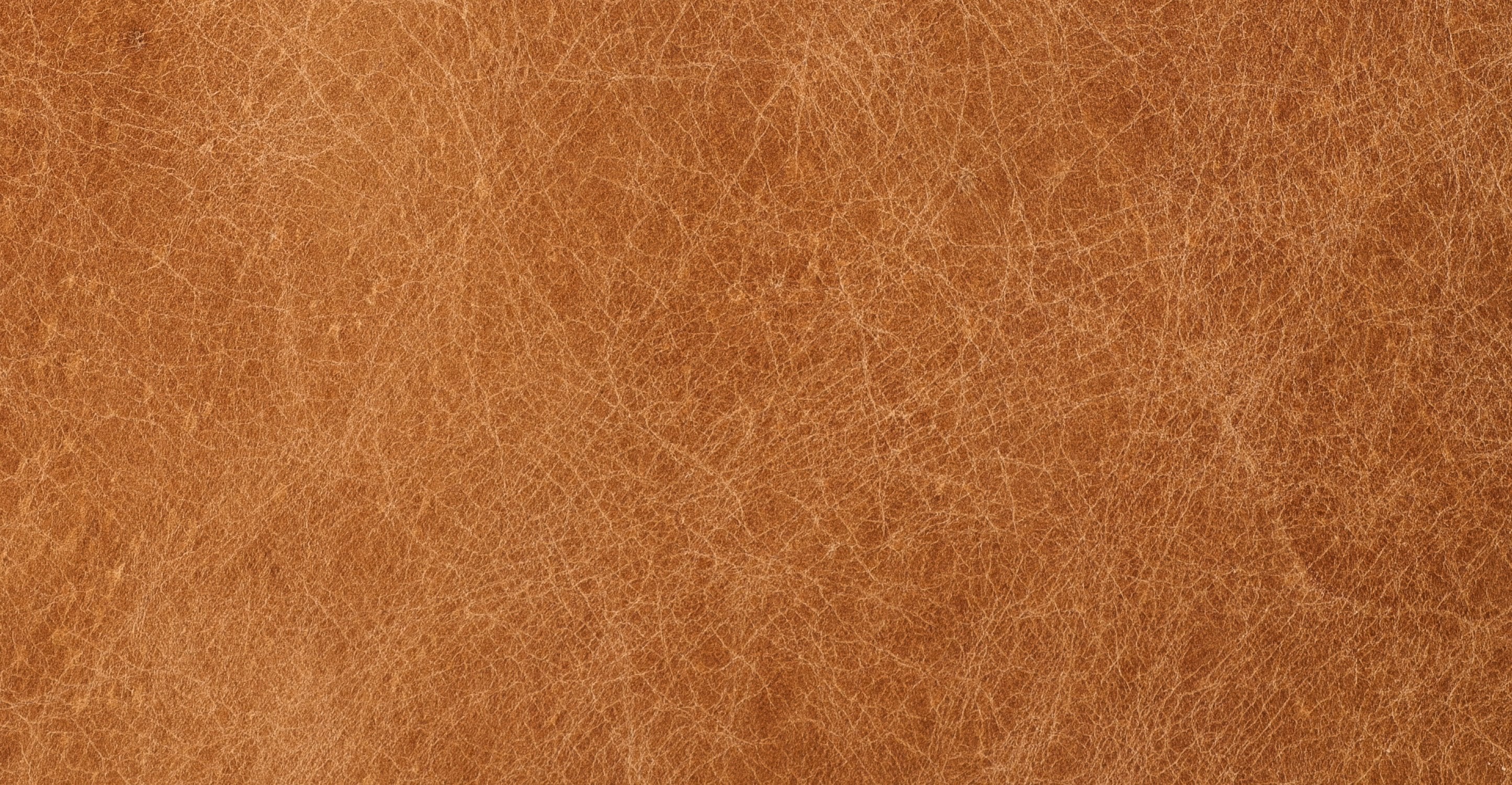 Essex Sofa