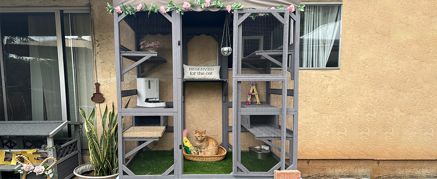 catio