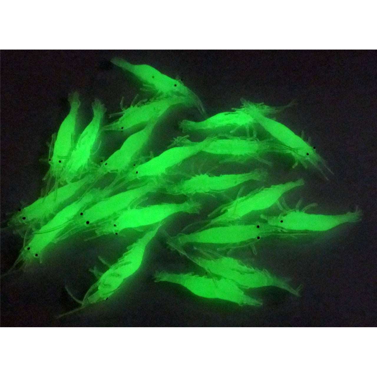 20 x Soft Plastic Lumo Prawn Shrimp Yabbie Lure 65mm Fishing Tackle A