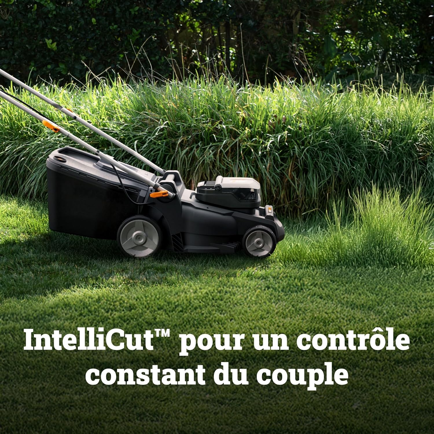 WORX Tondeuse à Gazon sans Fil 40V WG737E, Surface Max de 600 m², Lame de 37cm, Sac de 40L, Coupe jusqu'aux Bordures, 6 Hauteurs de Coupe, Livrée avec 2 Batteries 4Ah et Chargeur Double Rapide