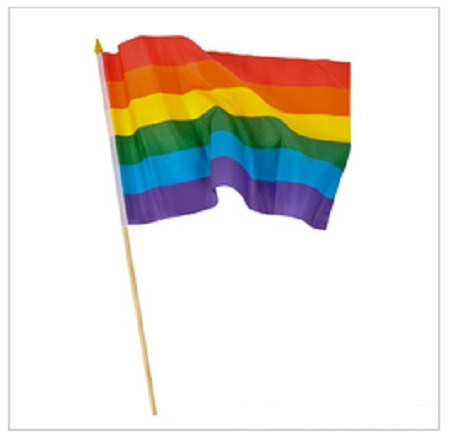 12 PACK Wholesale Rainbow Gay Pride Flags 12