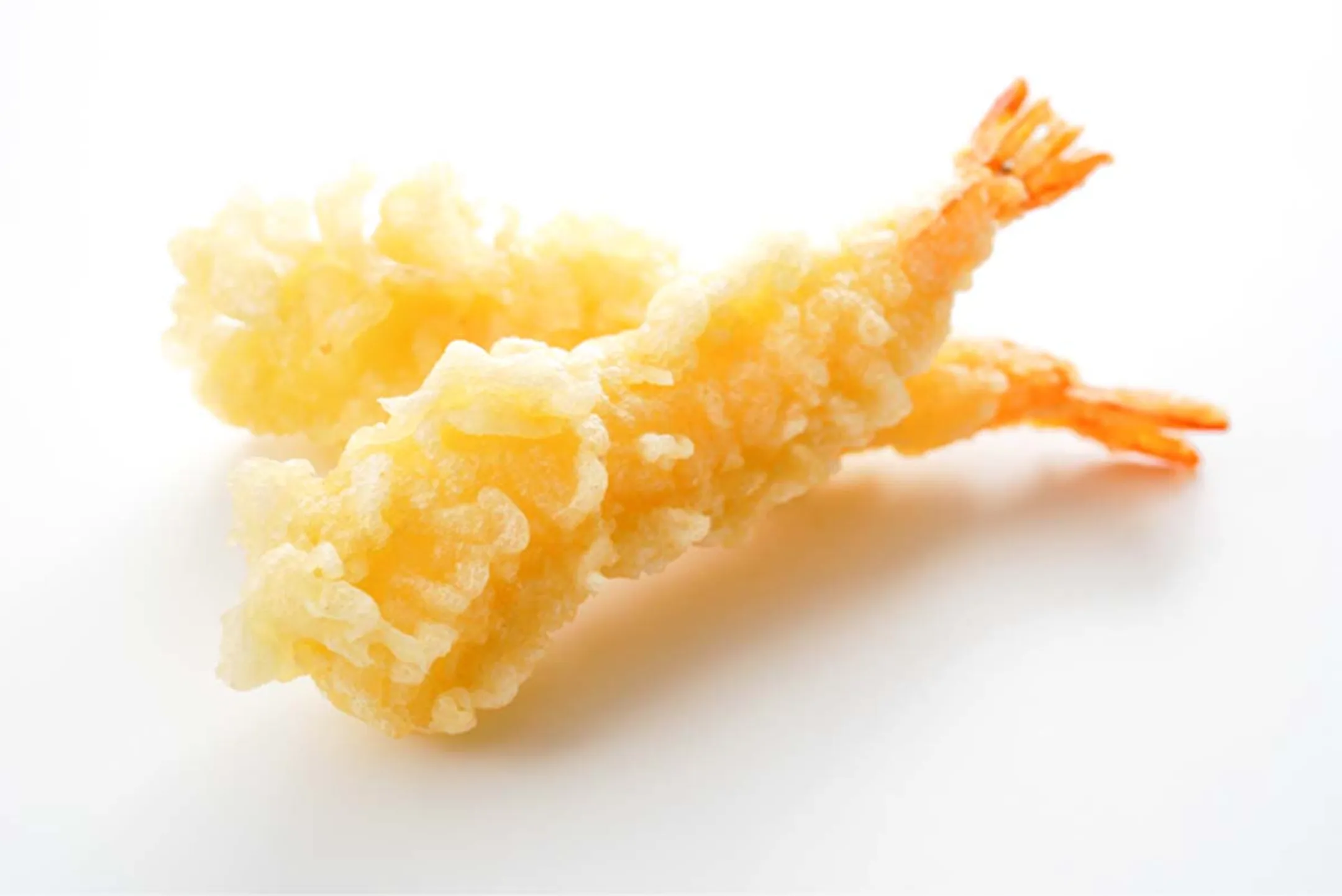 FRITEL Friteuse FR 1850 DUO