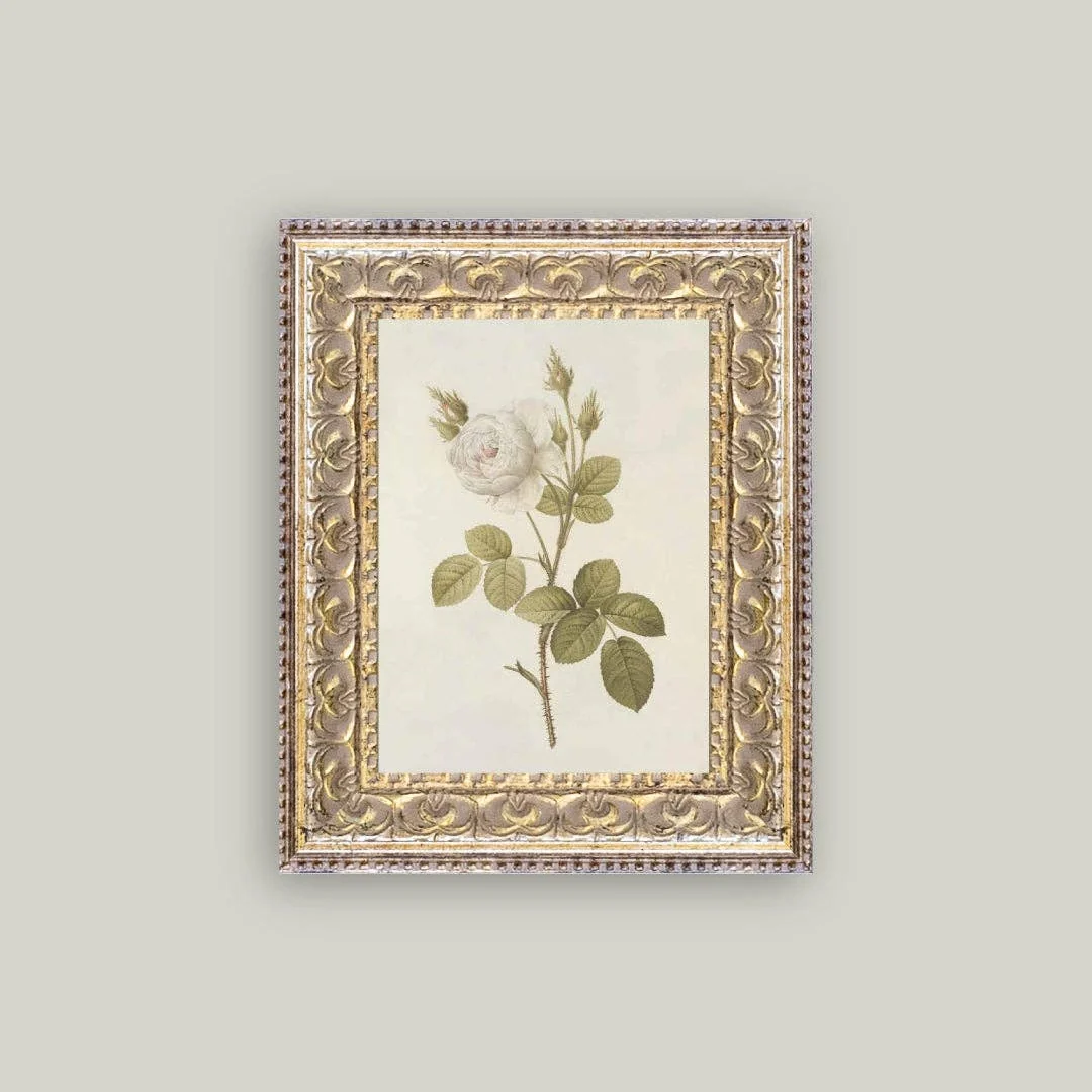Misty Rose Framed Antique Inspired Art