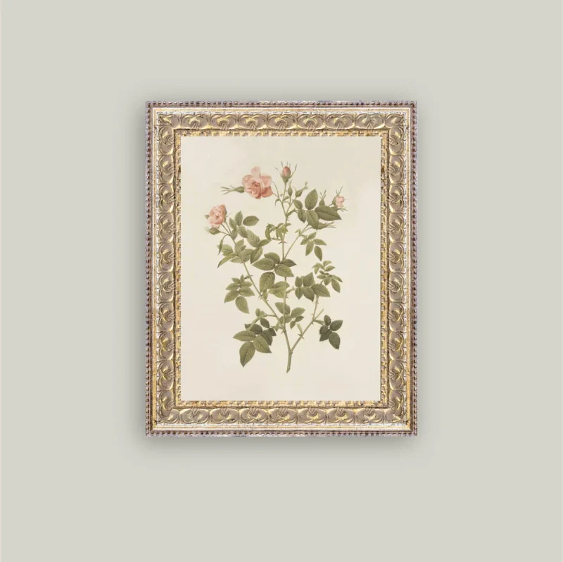 Rosa Framed Antique Inspired Framed Art