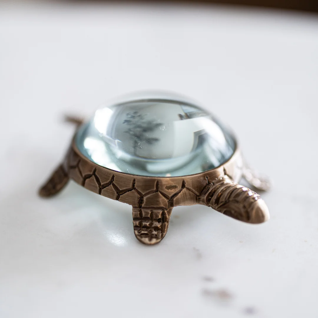 Brass Turtle Magnifying Glass
