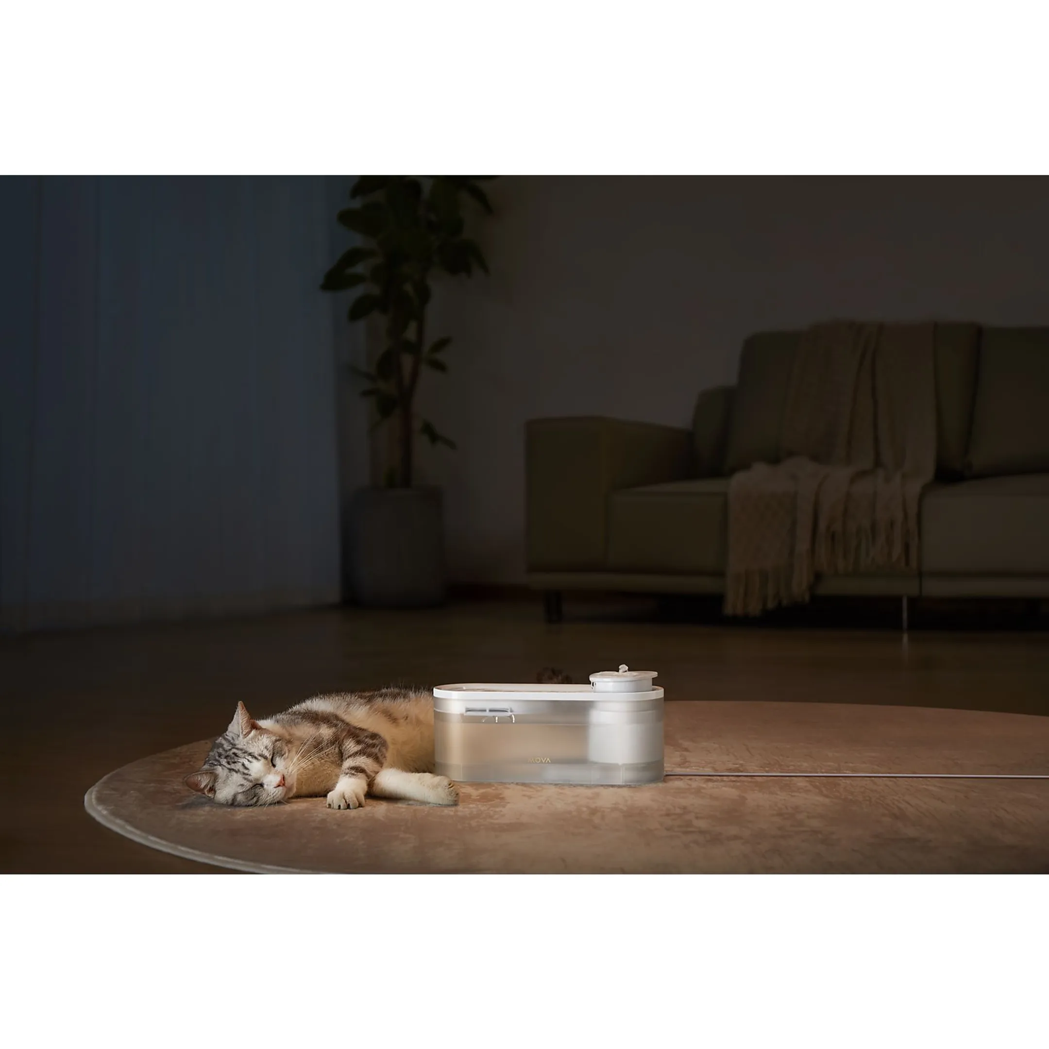 MOVA Waterfontein WF10 Pro