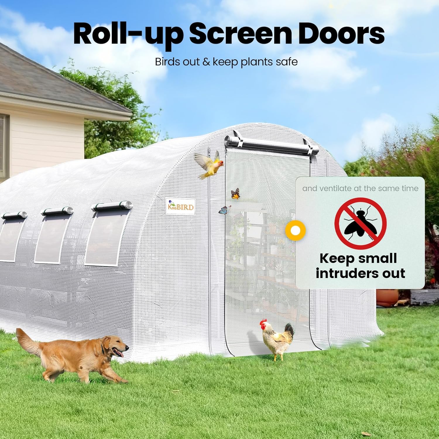 KING BIRD Premium 20x10x6.6FT Greenhouse for Outdoors  Large Walk-in Upgraded Galvanized Metal Frame  Mesh Door Screen Window Improved Zipper Tunnel Hoop for Garden Plant Winter  2 Stiffeners  White
