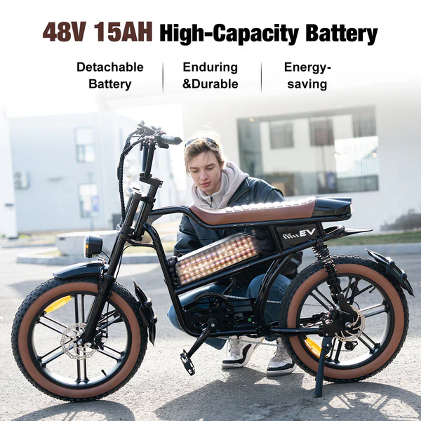 EVERCROSS EK30 E-Bike – 250W, 48V, 20 Zoll Fat Tire