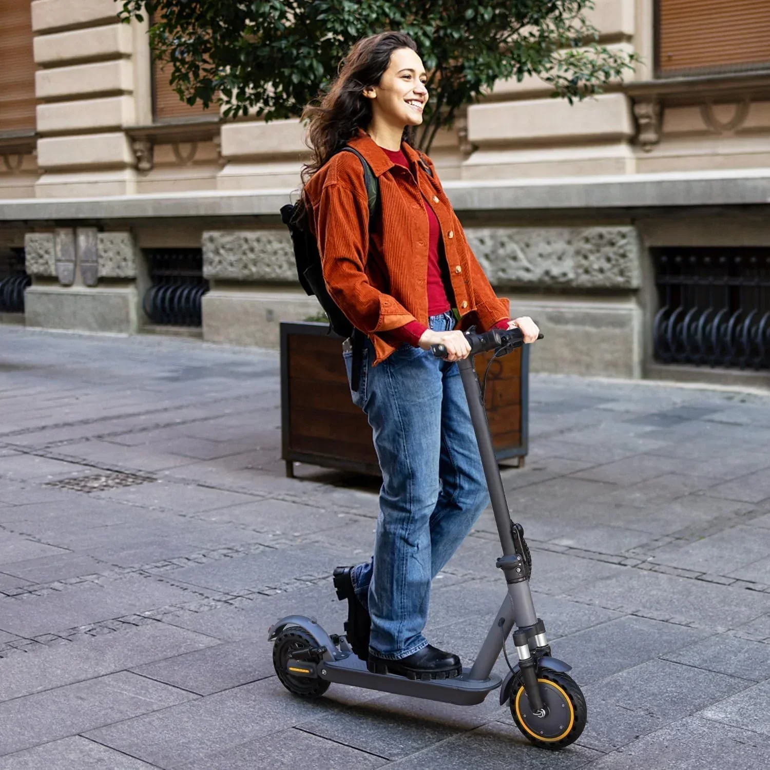 Electric Scooter 350W/500W Powerful Motor 8.5