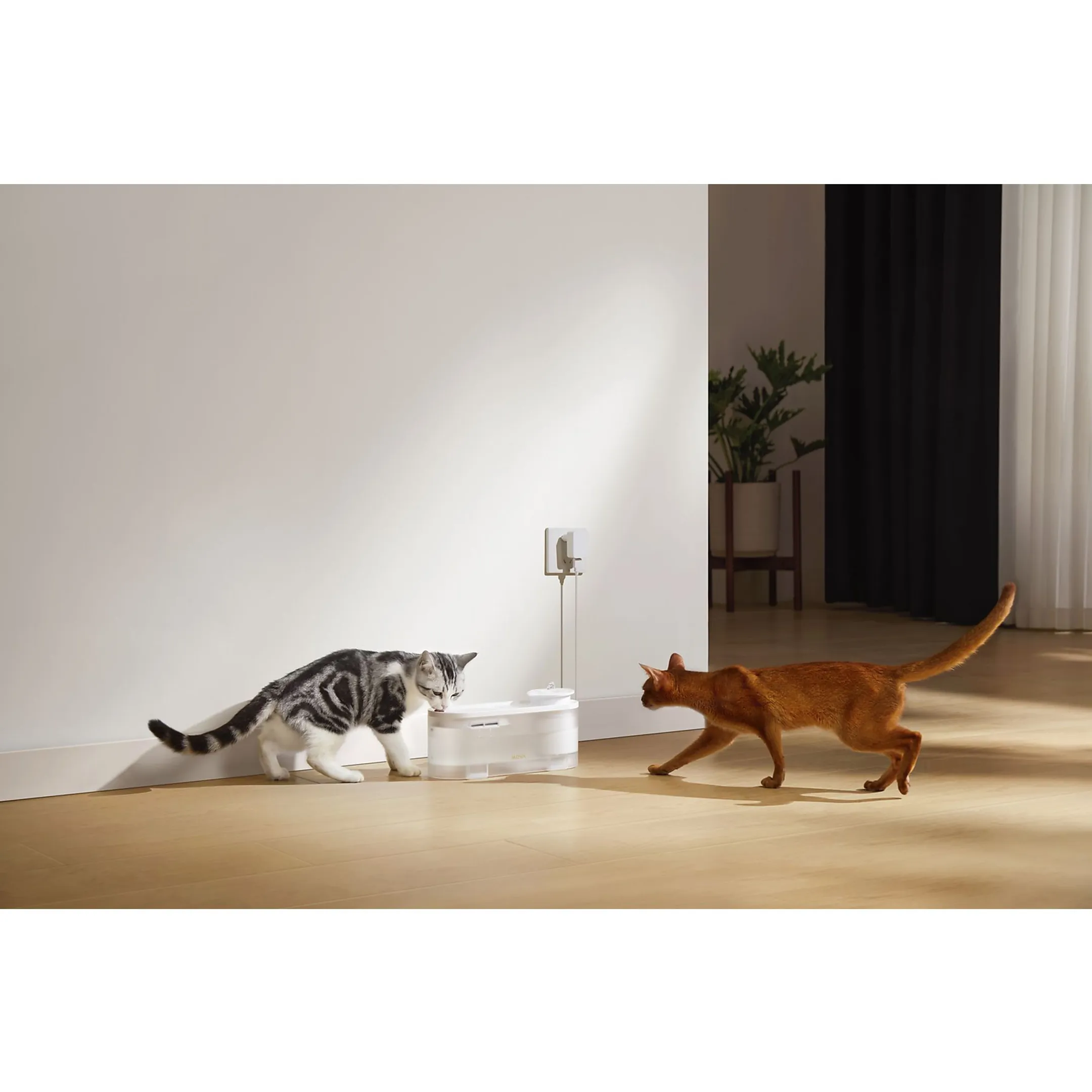 MOVA Waterfontein WF10 Pro