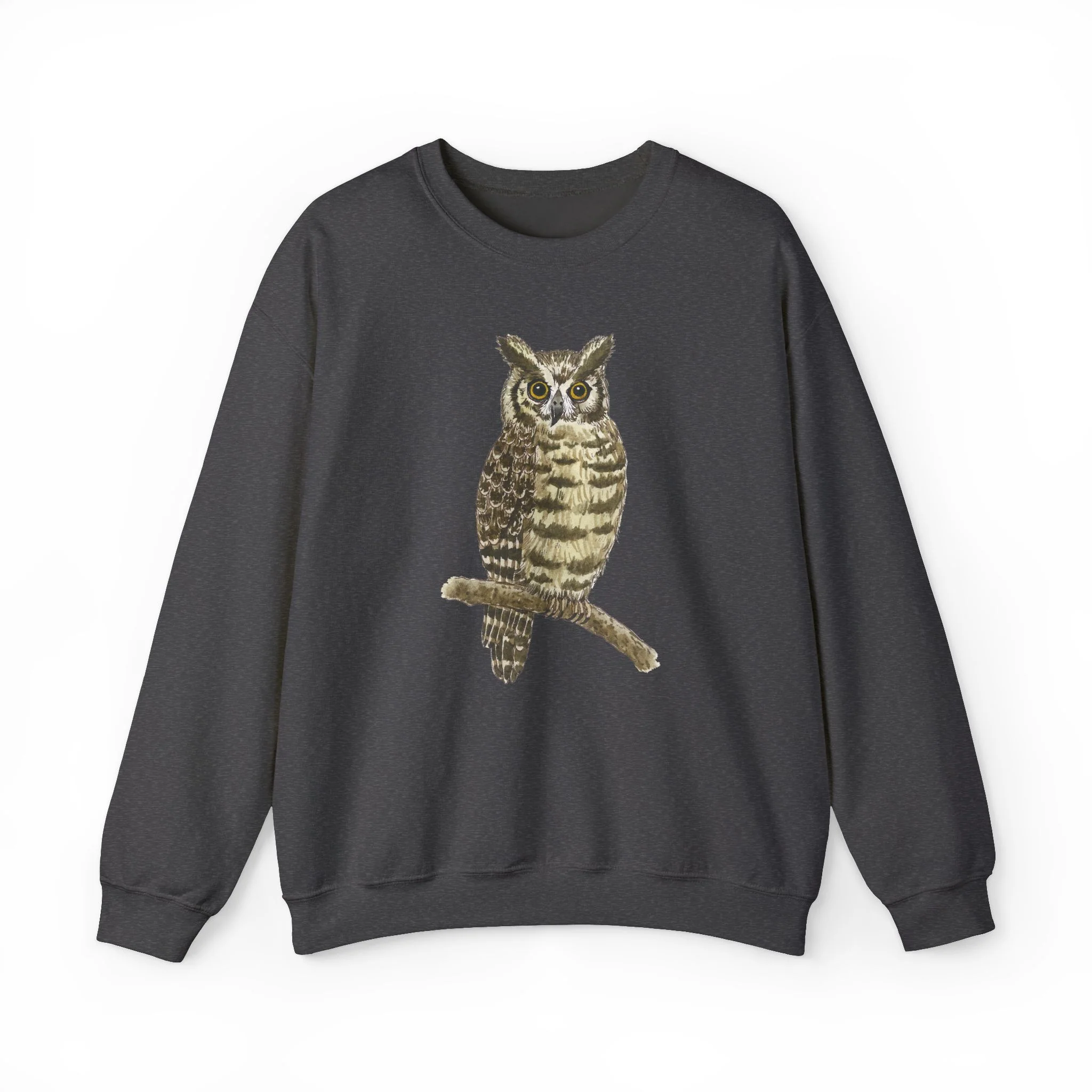 Owl Illustration Crewneck Sweatshirt - Vintage Bird Art Pullover