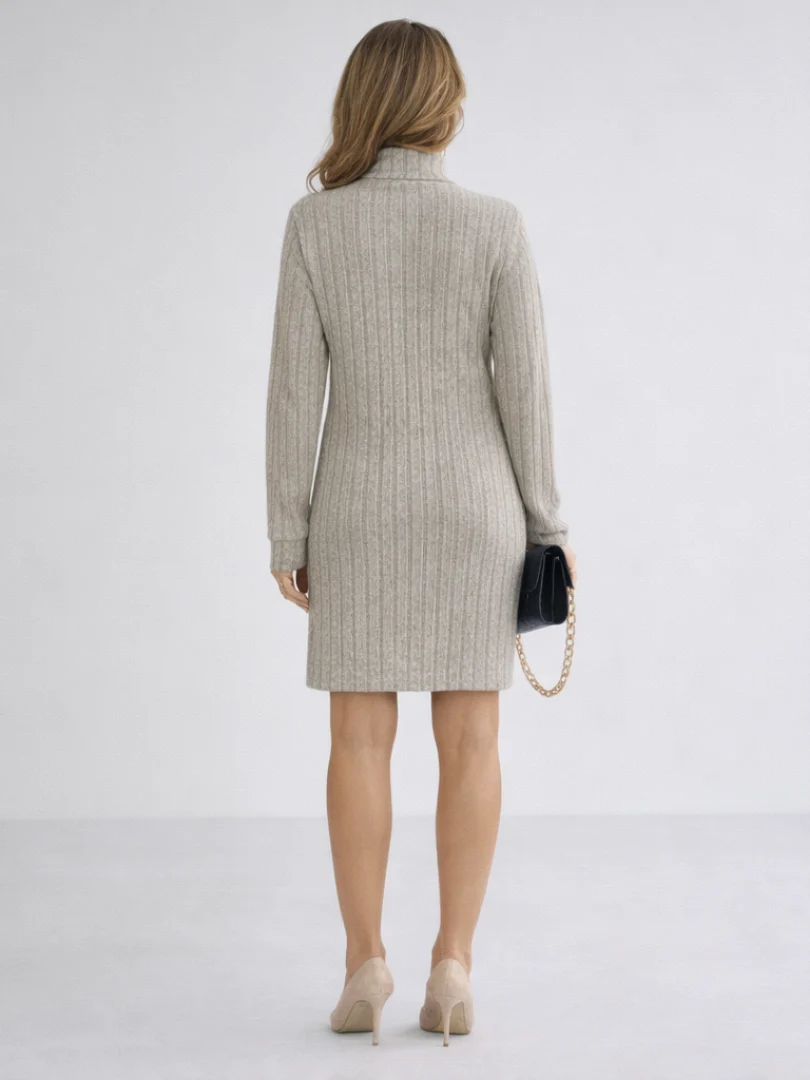 Women��s Ribbed Knit Turtleneck Dress Relaxed Fit Above Knee Length