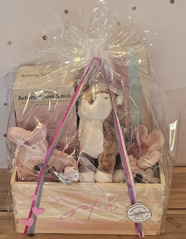 Little Dutch ''Fairy Garden'' HERTJE B cadeaupakket