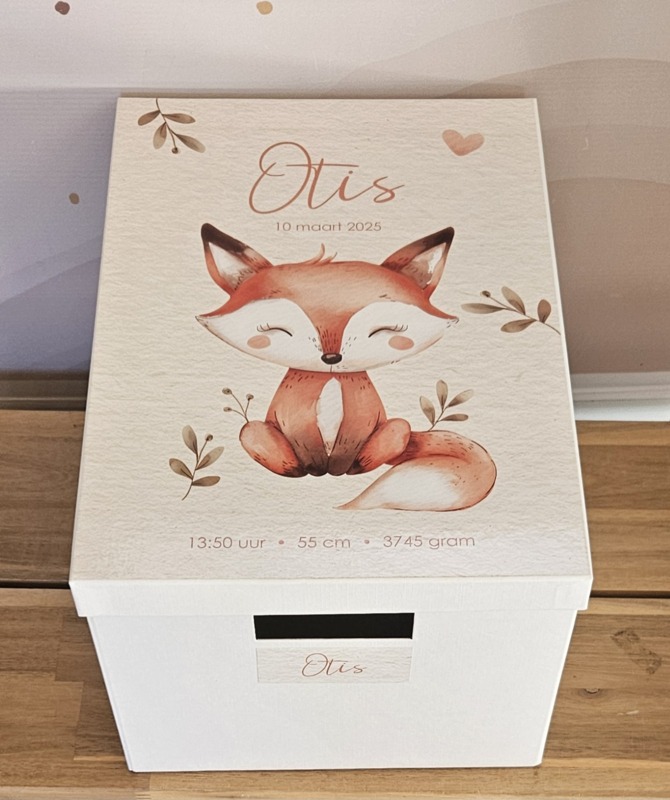 Bewaardoos met naam Schattig Vosje