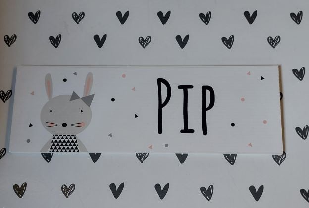 Kunststof naambordje geboorte konijn meisje