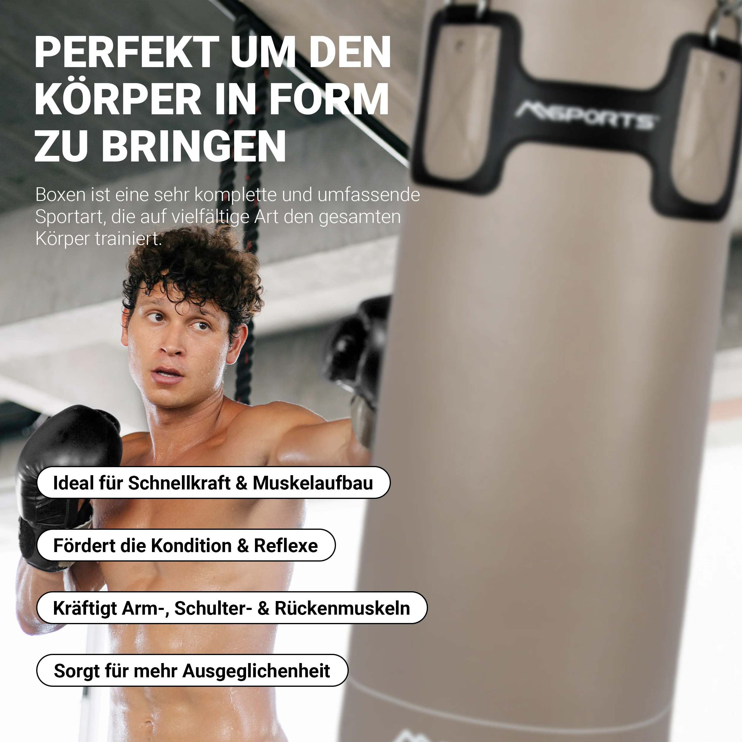 2025 Bokszak Set Professional