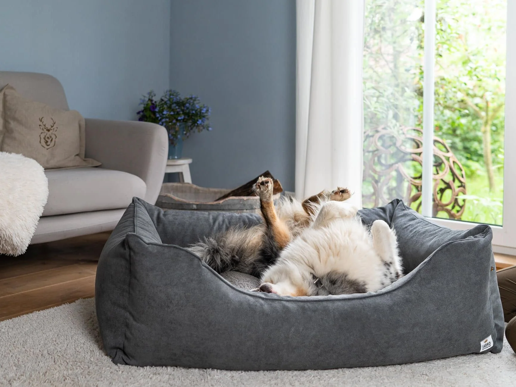 2025 Hondenbed LALELU