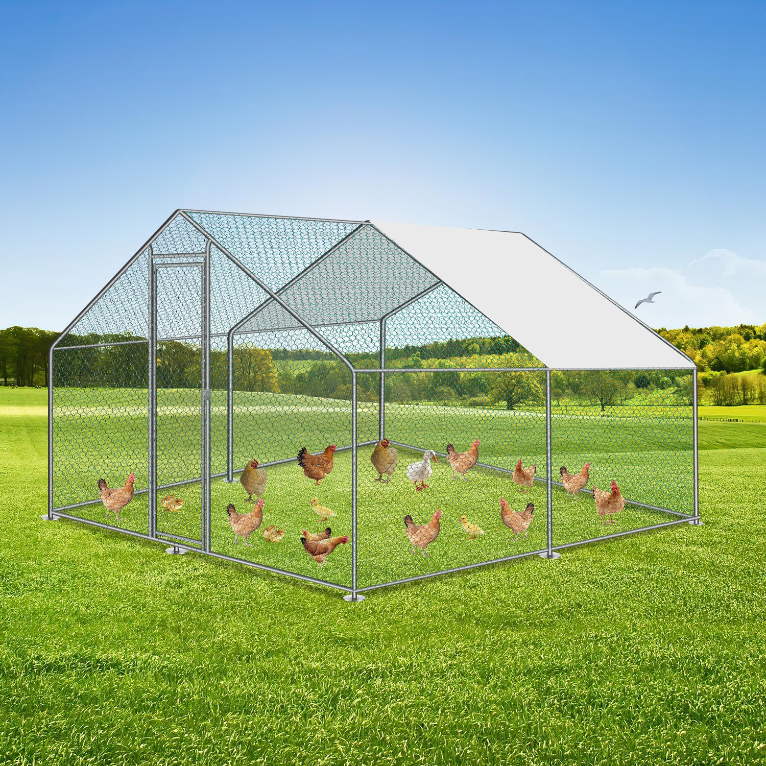 2025 Sonnewelt Kippenhok Metaal Vrijloopren met Dakzeil 332m