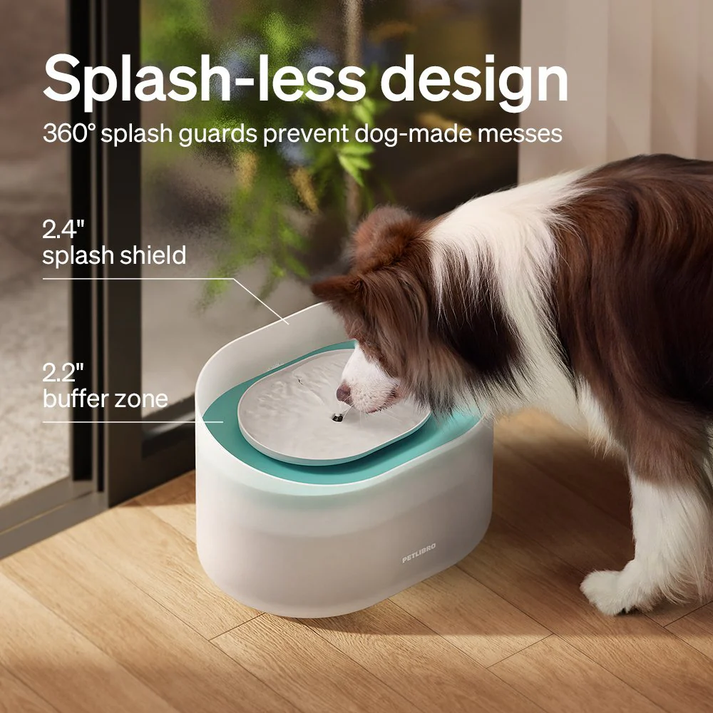 Petlibro Space Automatisch Voerbak en Capsule Combo voor Honden