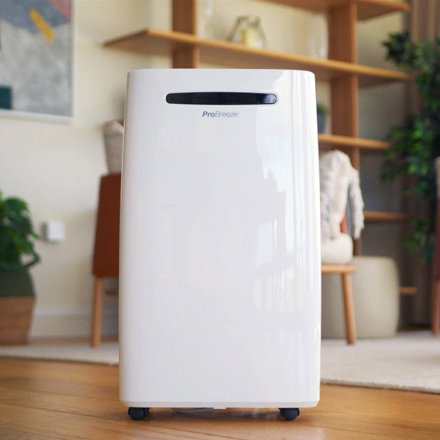 20L Ontvochtiger met Maximale Extractie en Wasmodus