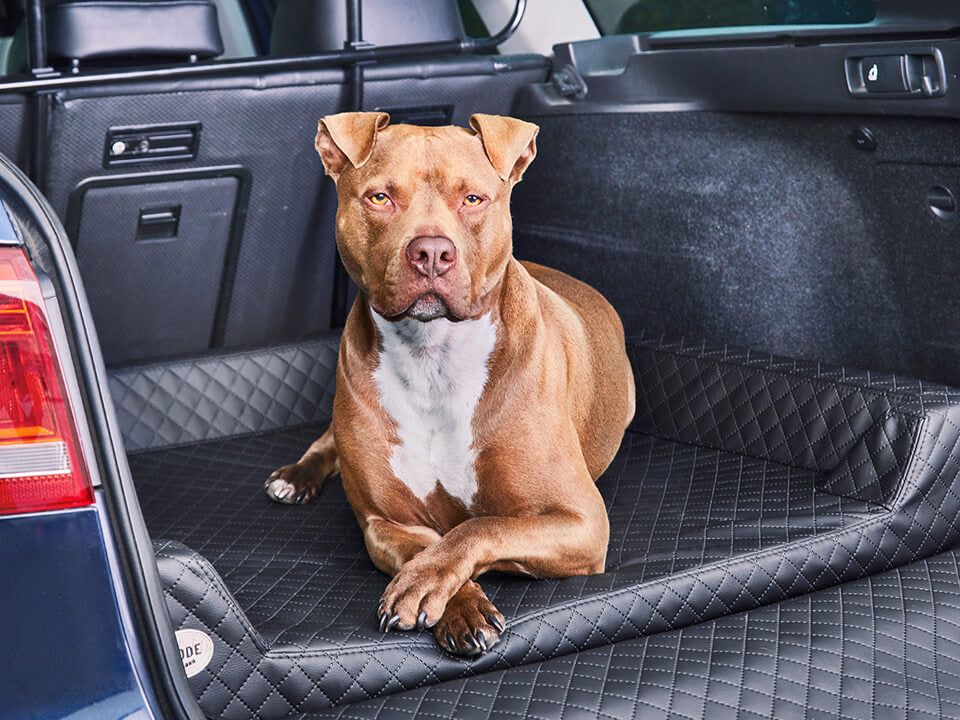 2025 Autohondenbed Vagn