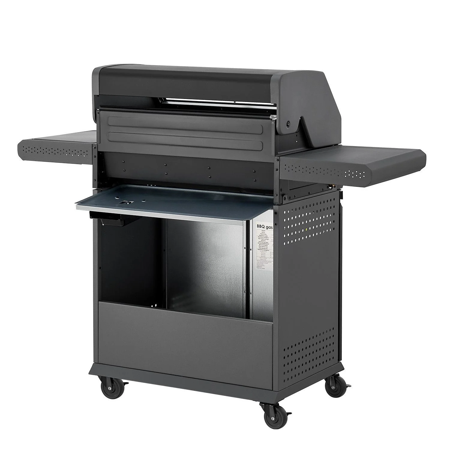 2025 BBQ Gasgrill Savannah