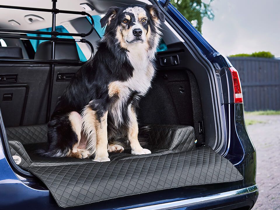 2025 Autohondenbed Vagn