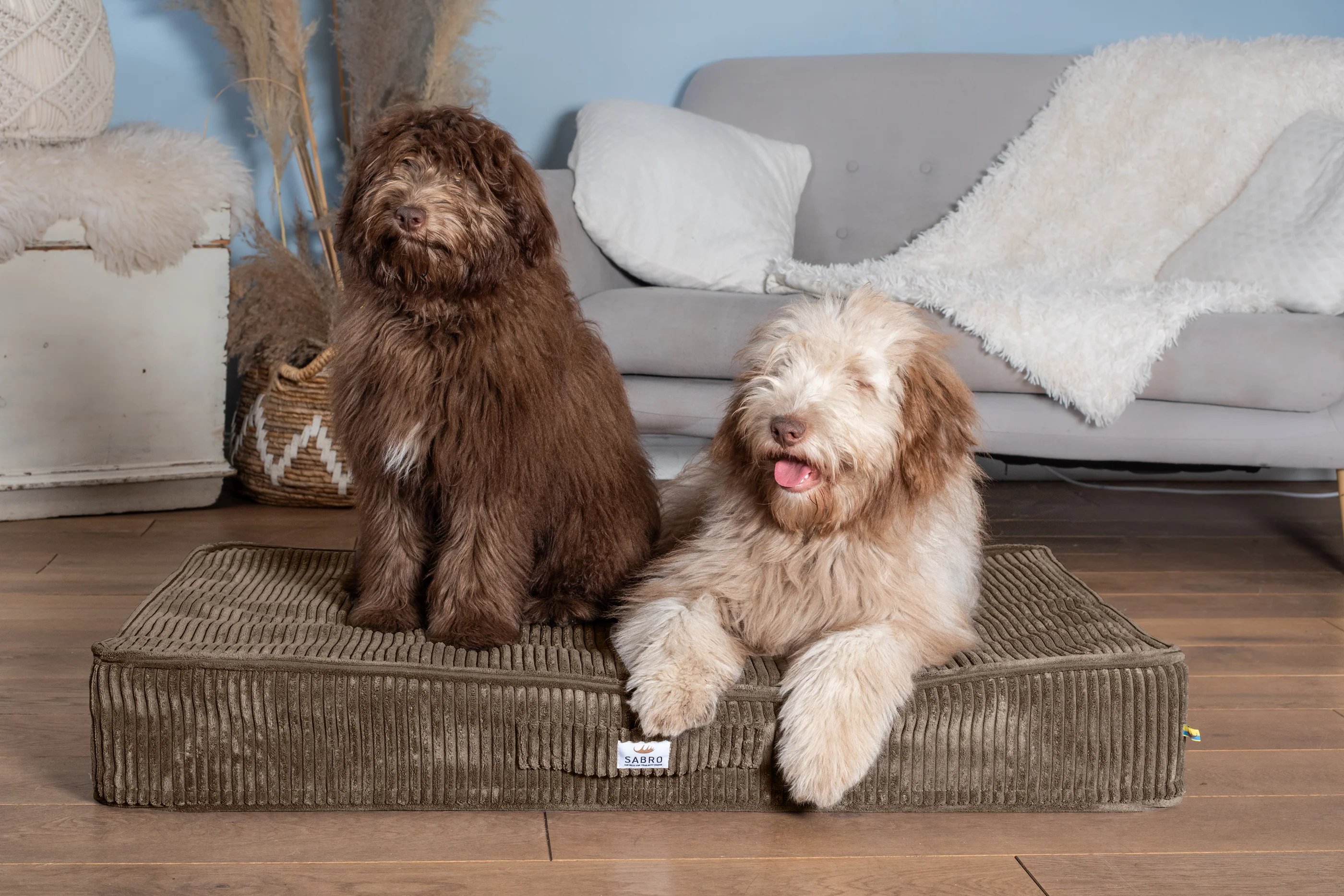 2025 Bodemkussen SOVA Cord