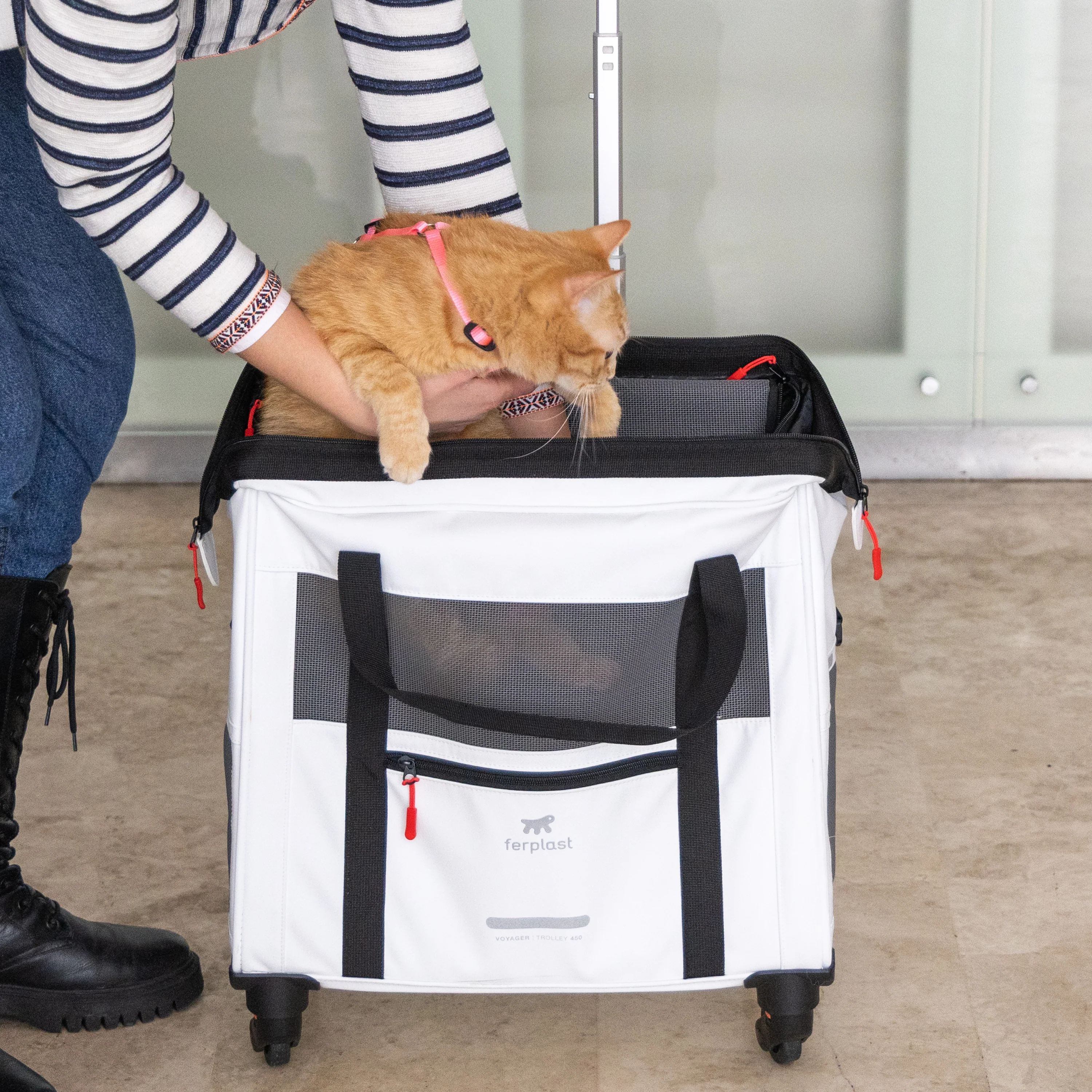 2025 Voyager Trolley van Ferplast �C stijlvolle, lichte trolley van kunstleer voor katten en kleine honden tot 15 kg. Met wieltjes, gaasramen en veiligheidsriem �C perfect voor comfortabel reizen.