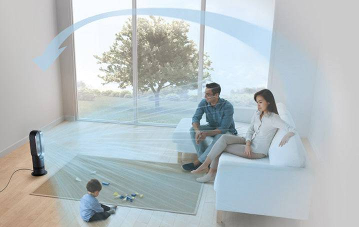 2025 Dyson AM09 Verwarming en Ventilator (Zwart)