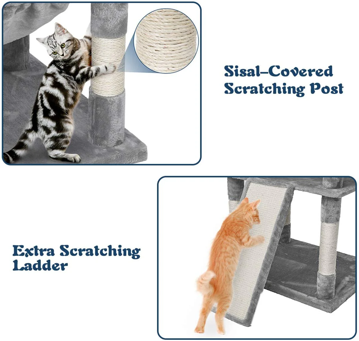 Kattenboom van 67 Inch met Condominiums, Trap en Krabpalen