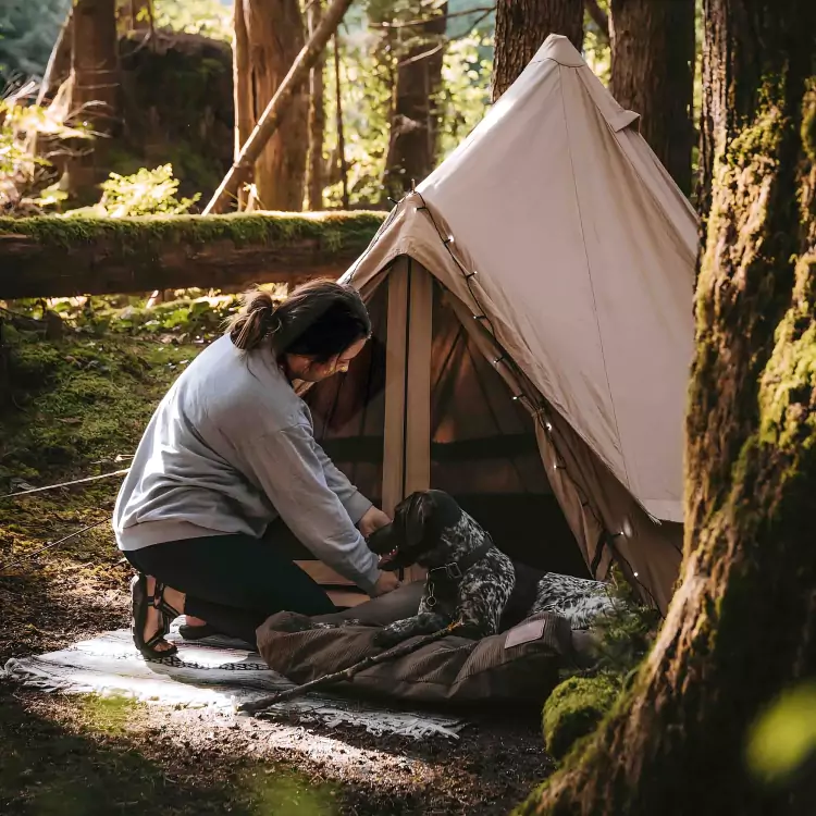 Mini Regatta Bell Tent �� Populaire Compacte en Lichtgewicht Tent