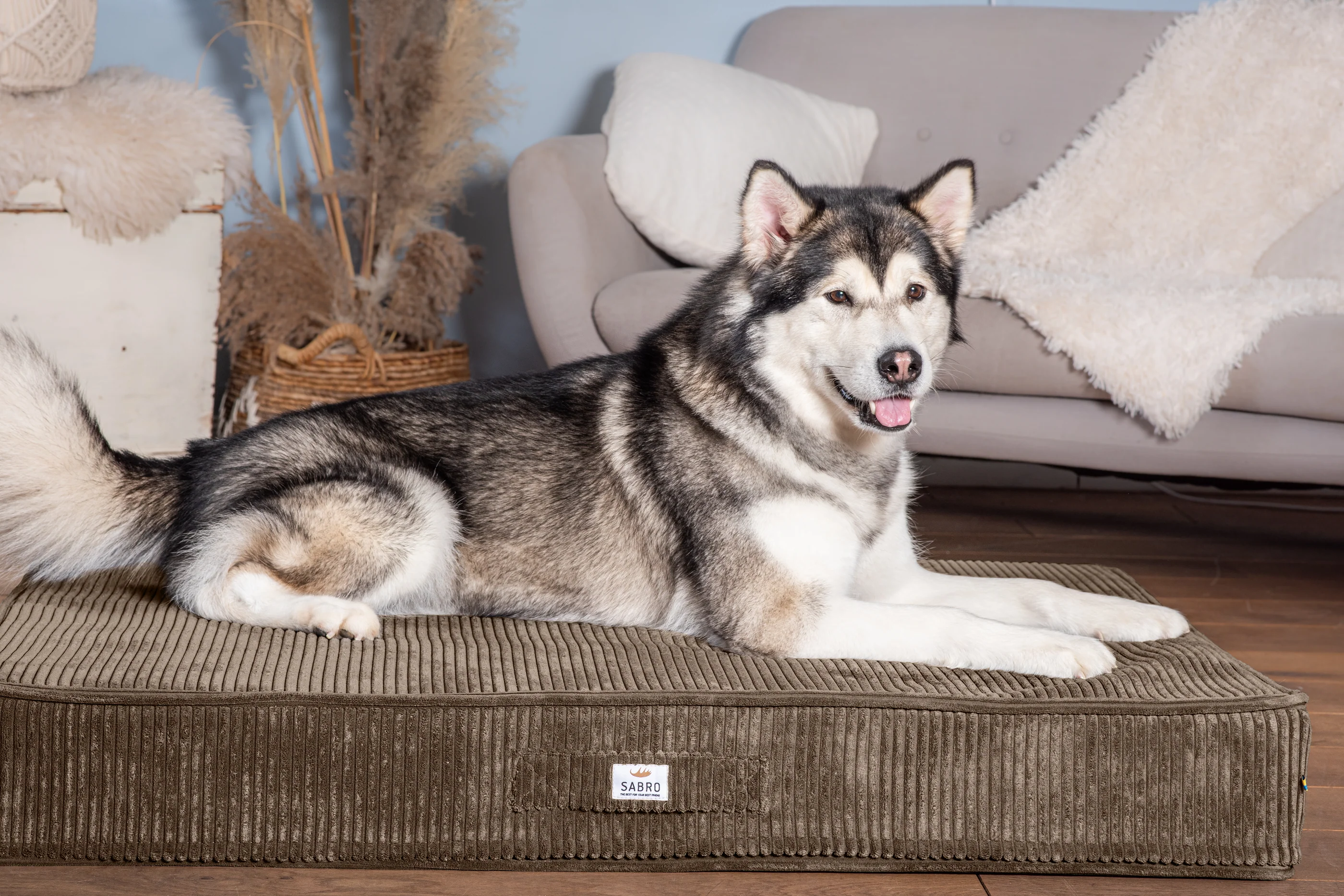 2025 Bodemkussen SOVA Cord