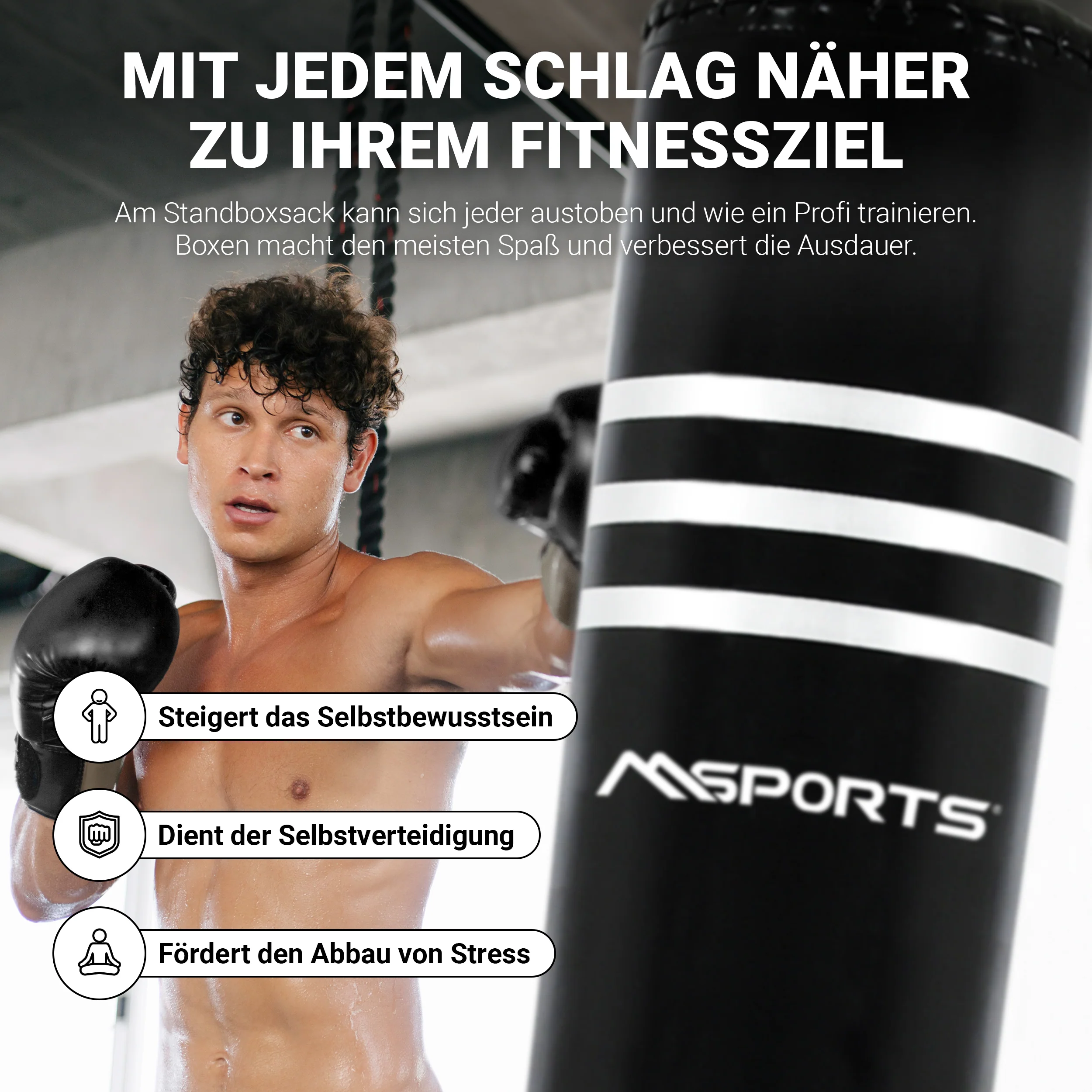 2025 Standboxsack Premium