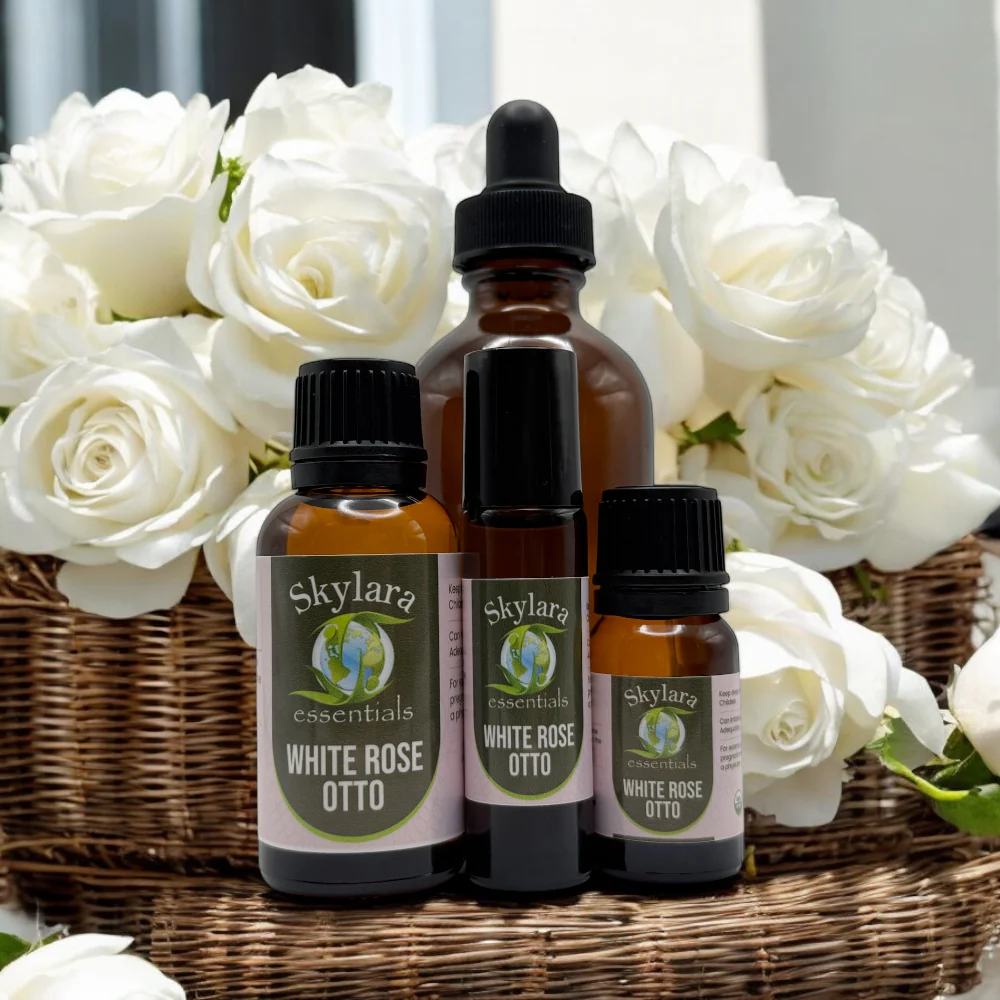 White Rose Essential Oil