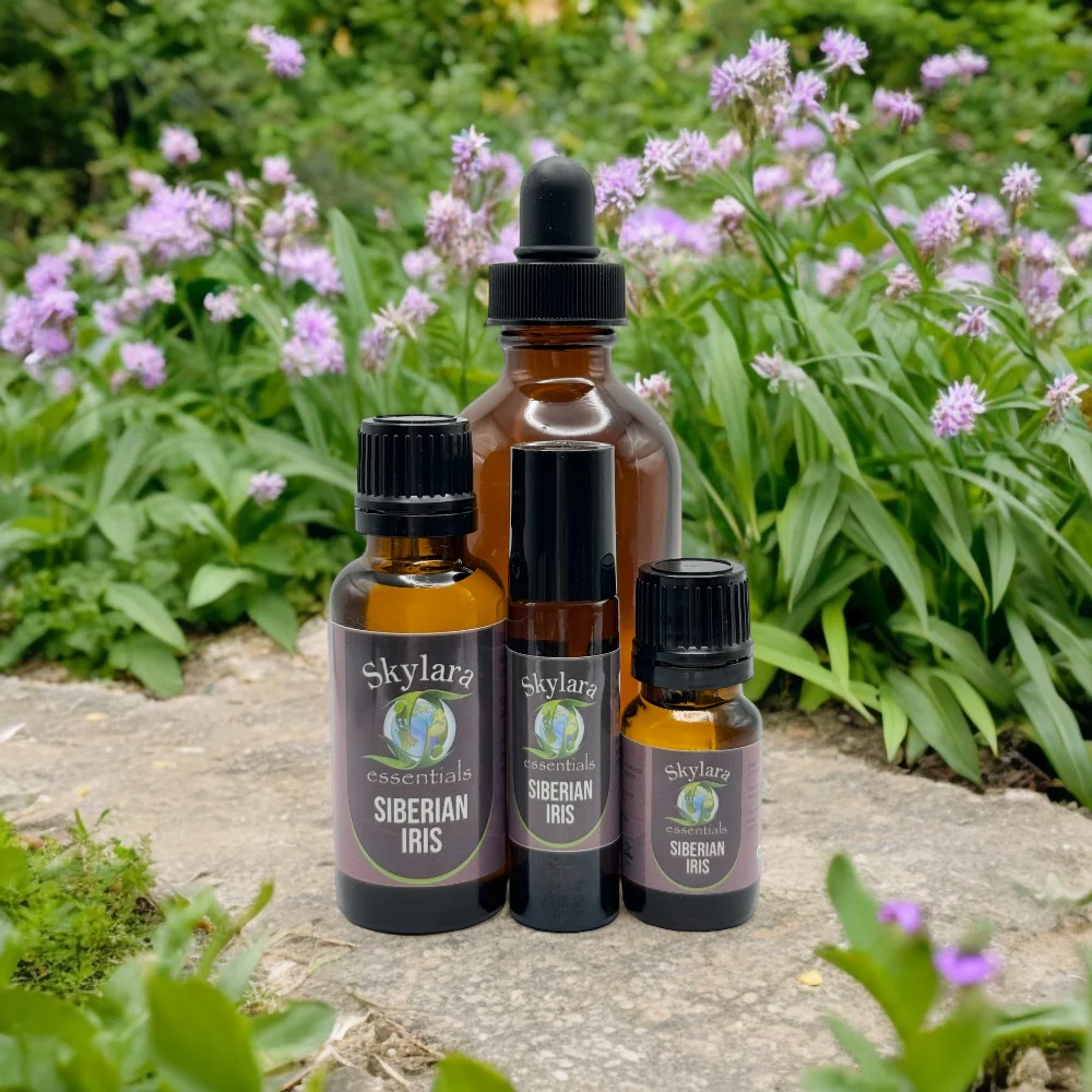 Siberian Iris Essential Oil