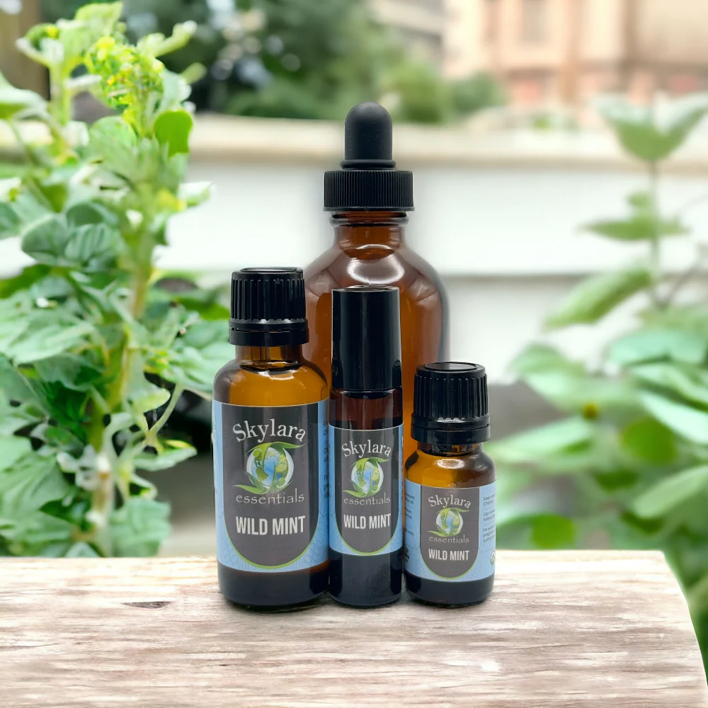 Wild Mint (Corn Mint) Essential Oil